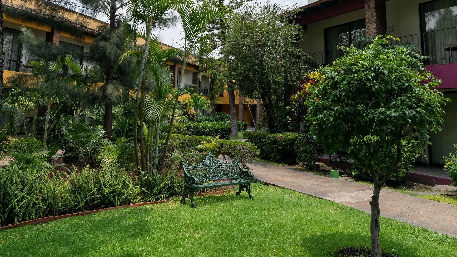 Wyndham Garden Guadalajara Expo Plaza Del Sol Hotel Zapopan