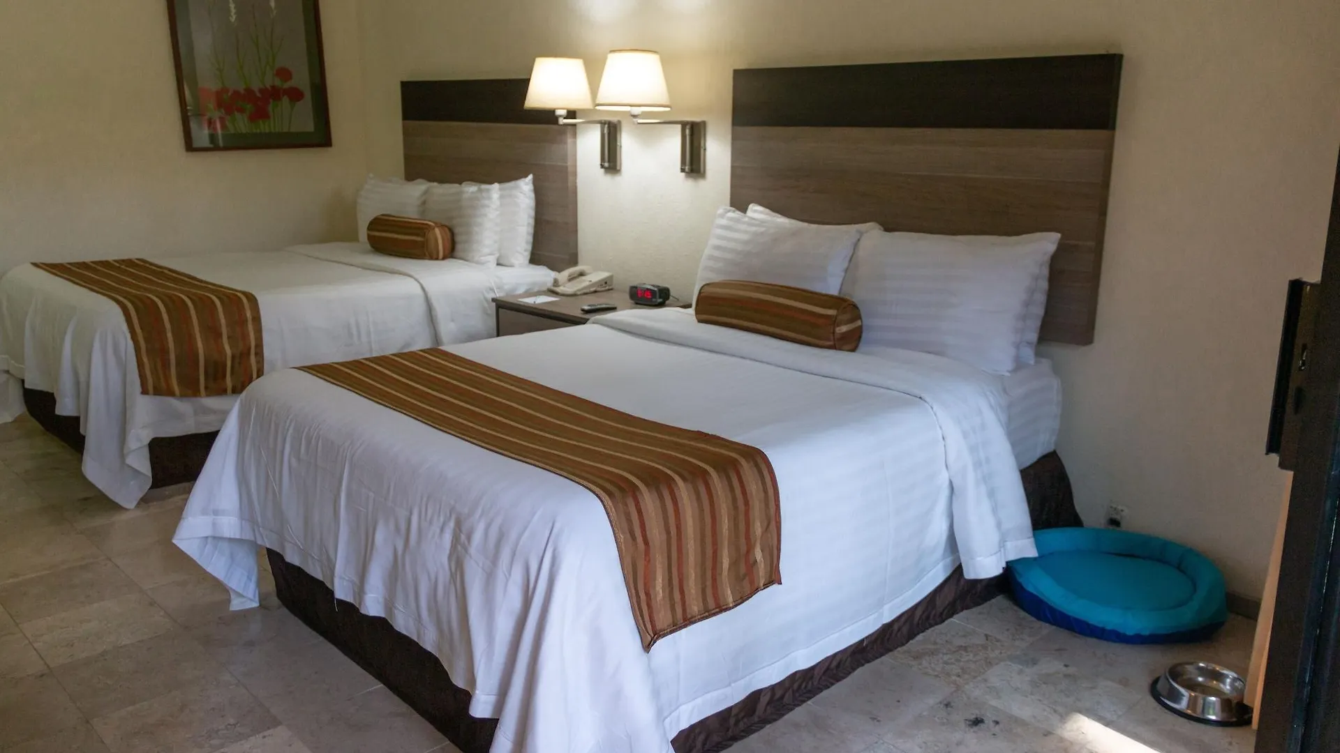 Wyndham Garden Guadalajara Expo Plaza Del Sol Hotel Zapopan 3*,